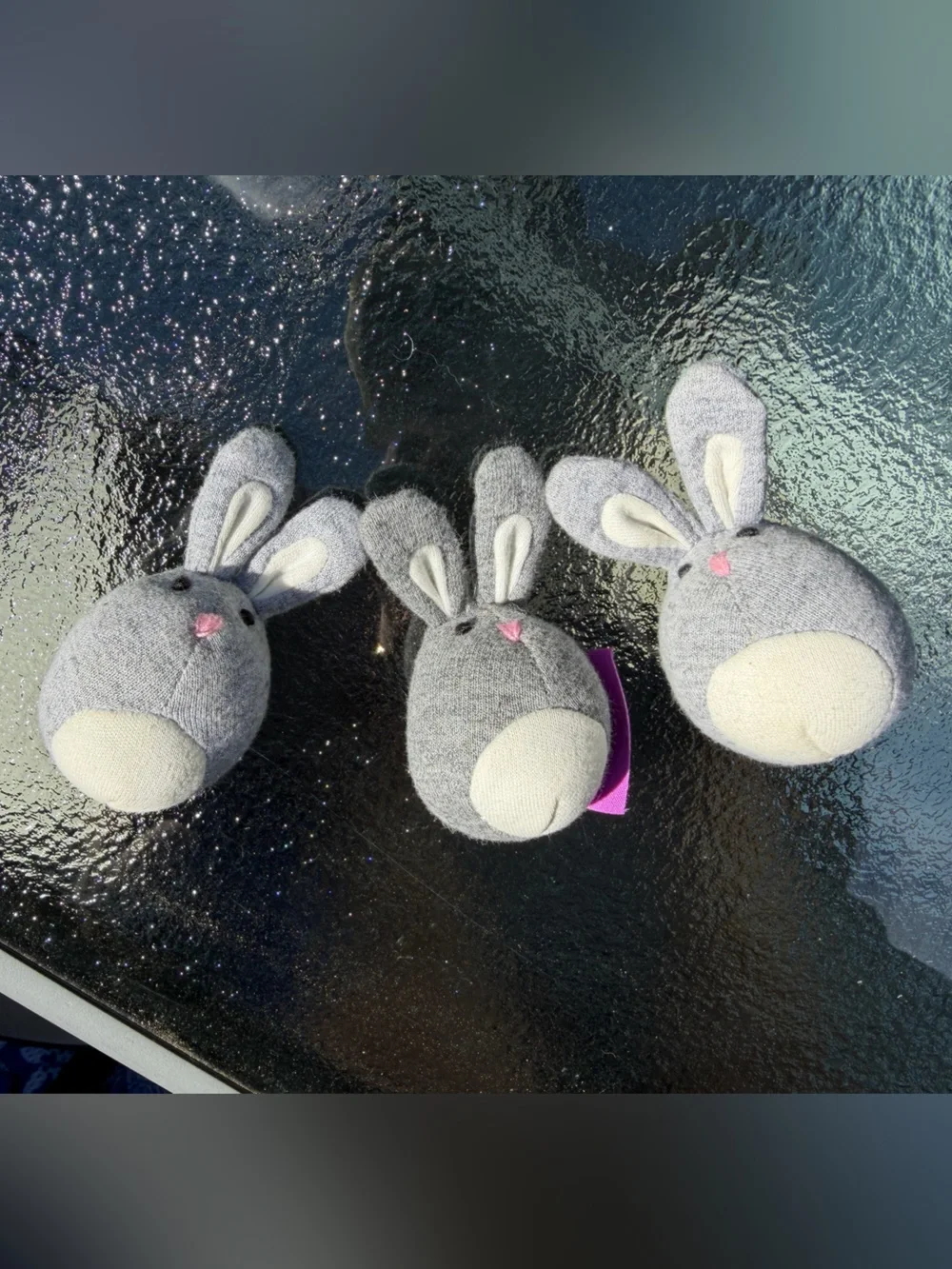 LOVEVERY 🐰 bunnies